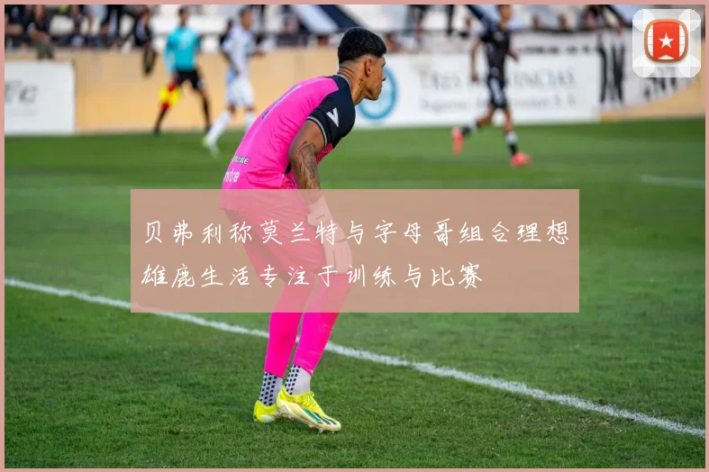 贝弗利称莫兰特与字母哥组合理想雄鹿生活专注于训练与比赛
