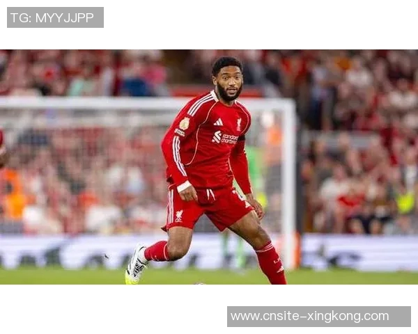 米兰计划明年一月引援新后卫乔戈麦斯成为首选目标