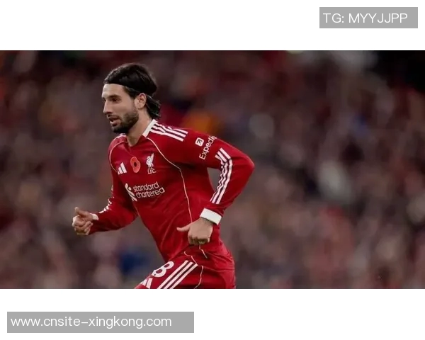 布拉德利与索博斯洛伊英超黄牌累积已达四张再吃一张将面临停赛风险 布拉德利与索博斯洛伊英超黄牌累积已达四张再吃一张将面临停赛风险