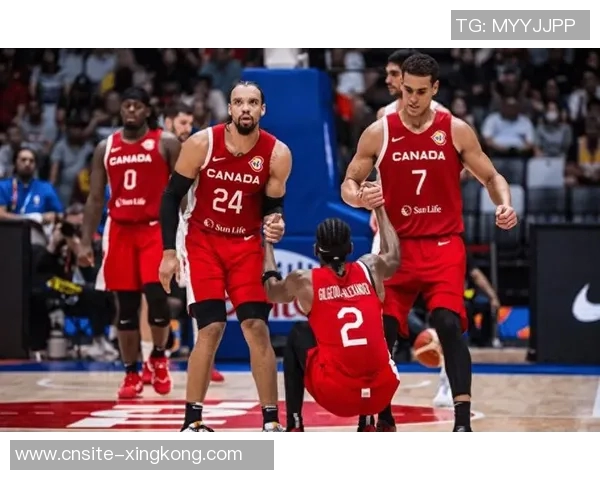 阿里纳斯谈联盟面孔詹库直言华子接班因私生子问题受阻