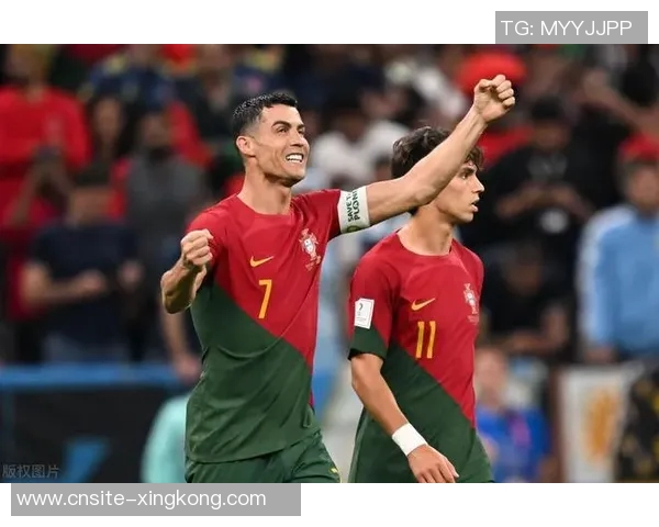 C罗分享球队合影庆祝晋级世界杯激励全队继续奋斗为葡萄牙加油