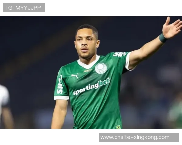 巴甲球员身价排行榜揭晓罗克以3500万欧元领跑拉扬紧随其后