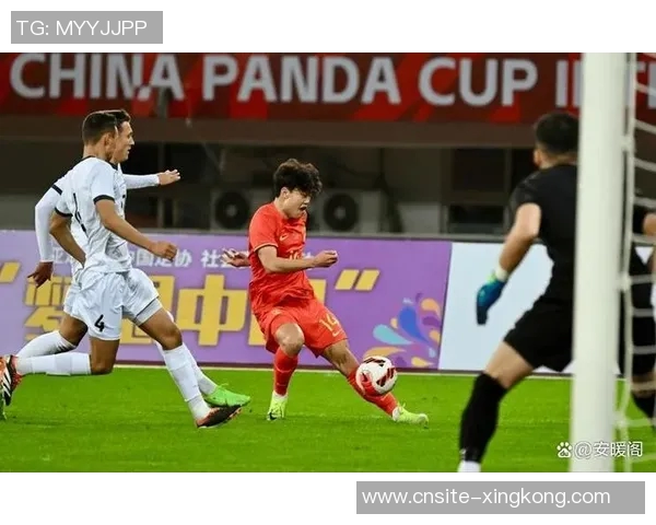 杨瀚森有望成为国足低迷时期中国最受欢迎运动员的热门人选